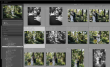 Lightroom quick tips, How to organise photos in lightroom, learn photography, photography 101, photography obsessed